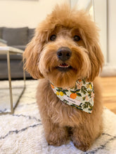 Load image into Gallery viewer, My Main Squeeze