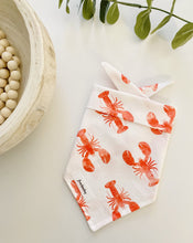 Load image into Gallery viewer, Lobster Paws