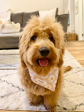 Load image into Gallery viewer, The Greenwich