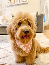 Load image into Gallery viewer, The Perry