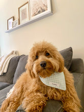 Load image into Gallery viewer, The Winston