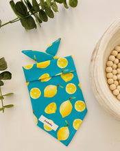 Load image into Gallery viewer, Squeeze The Day