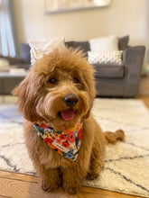 Load image into Gallery viewer, Garden Party