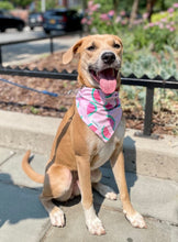 Load image into Gallery viewer, Watermelon Sugar