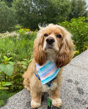 Load image into Gallery viewer, Summer Stripes