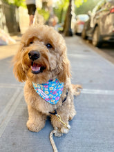 Load image into Gallery viewer, Summer Bouqs