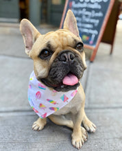 Load image into Gallery viewer, Pupsicle