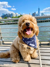 Load image into Gallery viewer, You're My Anchor