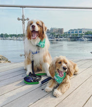 Load image into Gallery viewer, The Palms