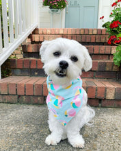 Load image into Gallery viewer, Beach Balls