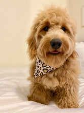 Load image into Gallery viewer, "Wild One" Tie On Bandana